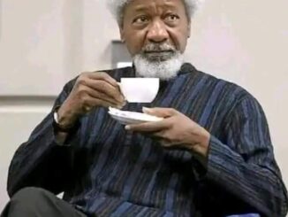 Professor Wole Soyinka